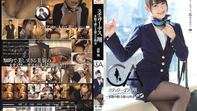 BF-240 Stewardess, Sho Instinctively obscene sexual intercourse Sho Nishino