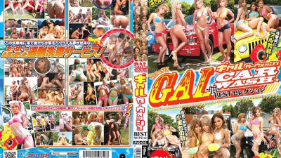RVG-015 Gal Car Wash BEST Selection