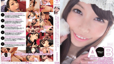 WSS-231 Minami Hirahara