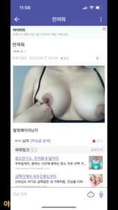 DC 인사이드 야갤모음집