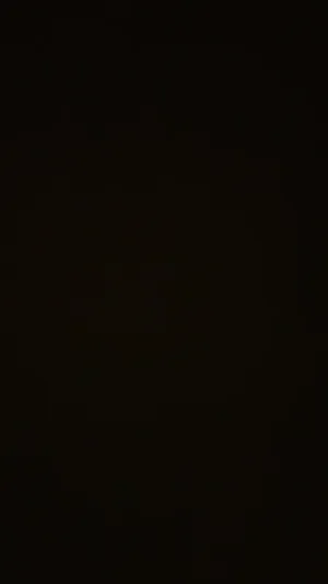 新후장녀