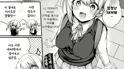 채워진 인형의 집