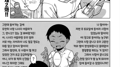 N현 T시 R촌의 풍습에 관하여 2
