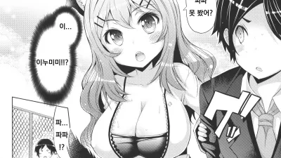 육식계 강아지