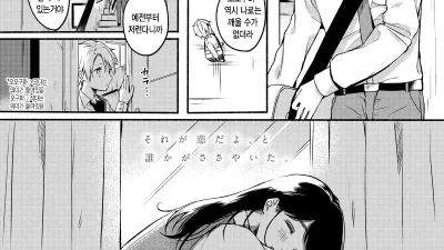 가짜꿈 30센티
