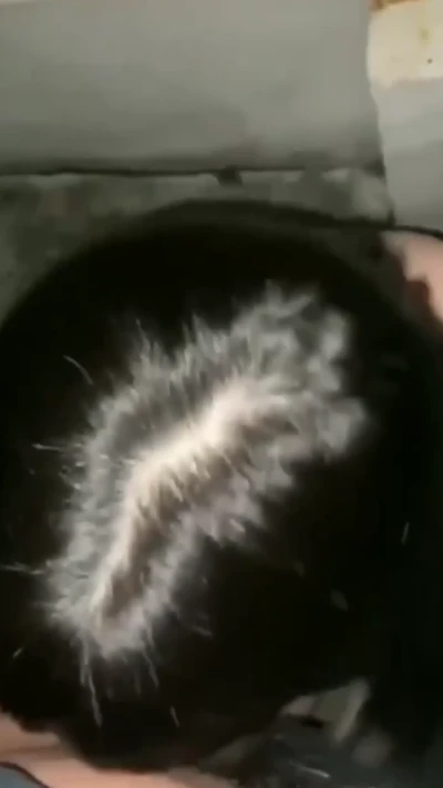 야노 어린커플 야외플